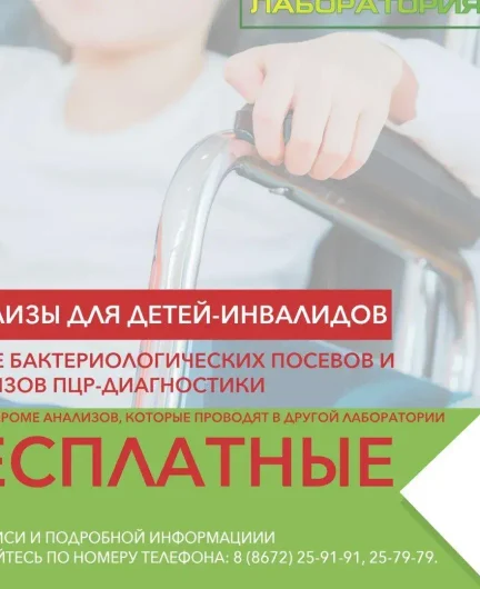 e59c74bc-9755-4651-a634-e4db55f83fa5-_0stirfjhk.webp